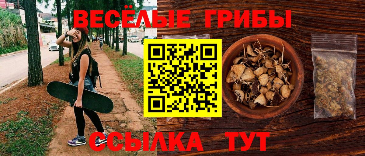 Зерноград  Псилоцибиновые грибы Psilocybe  Вход с VPN 